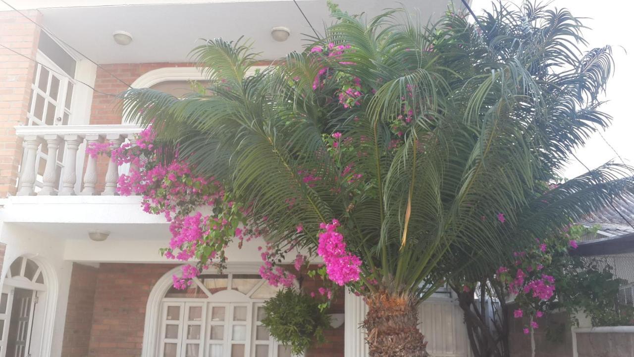 Verano Azul Isla Hotel *